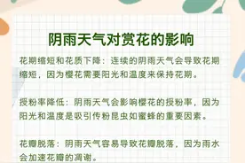 未来几天湖北持续降温！最低-3℃ ！雨、雨夹雪、雪来了！图片