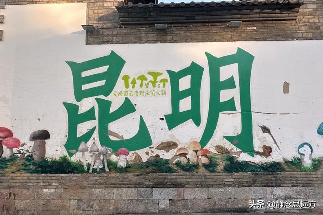 我是河南人，一家人来了趟云南昆明忍不住有五个小疑问想和你聊聊