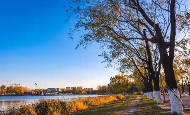 南京人奔走相告！世界级公园免费开放