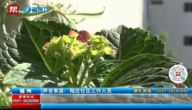 七旬老者赠送儿子2套房和全部存款，儿子居然表示拒绝任何馈赠！