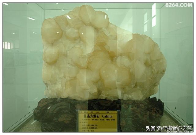 山东行游影记（31）—平邑天宇自然博物馆（六）