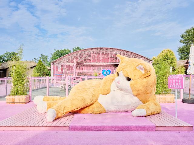 秦皇岛渔岛海洋度假区，邂逅海洋浪漫假期，体验奇幻的水上世界