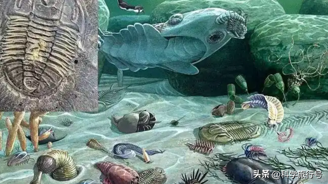 地球是个巨大的培养皿？失败品被一键清除？神秘的埃迪卡拉生物