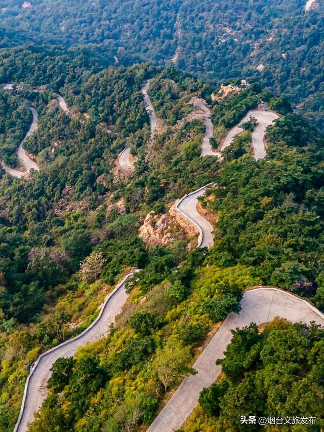 【乐游烟台】正式宣布！下一轮降温前，烟台人该……