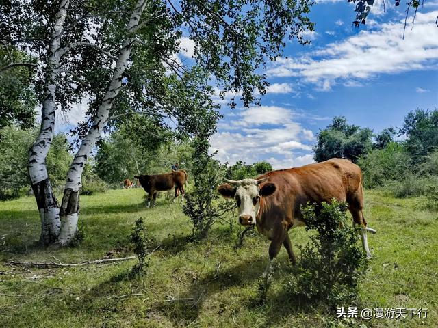 我走过的草原天路，应了谑语“后浪推前浪，后浪拍在沙滩上”