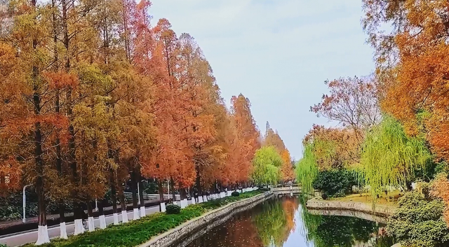 水乡藏韵 诗里寻踪 潜江行之“南门河游园 闹市中的水乡清幽”