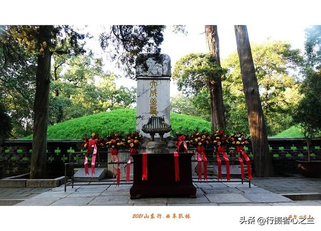 山东行游影记（228）—曲阜孔林（四）