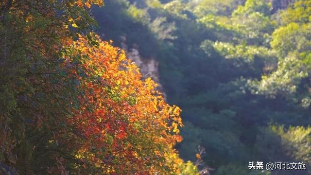 秋日里的诗意狂想曲，等你来赴约！