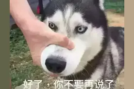 那些似是而非的流行说法之“存在即合理”图片