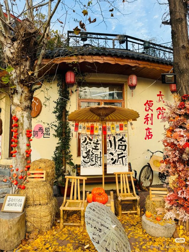 临沂免费赏秋好去处，错过你将后悔一整年！