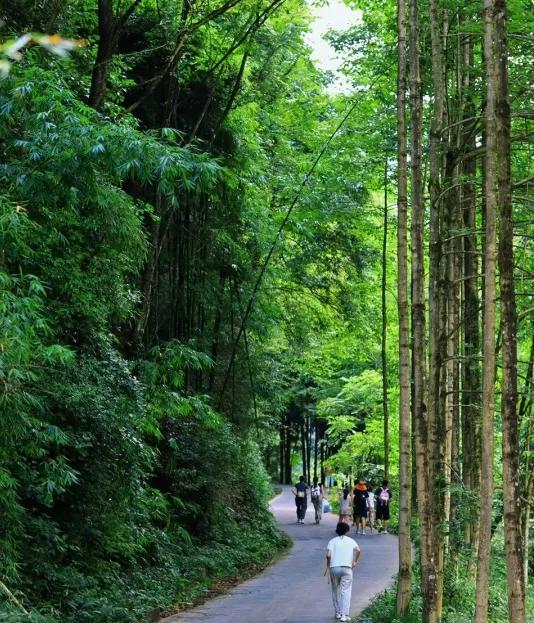 成都以西的隐秘小村，赏萤火虫、溪涧踩水、探秘溶洞…1.5h刹拢！