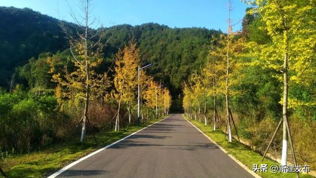 健步谷山，邂逅橙乡好风物