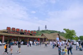 全国首个！富阳推出！涉及AI！图片