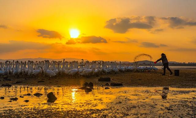 年终盘点丨冬游威海何以情满山海