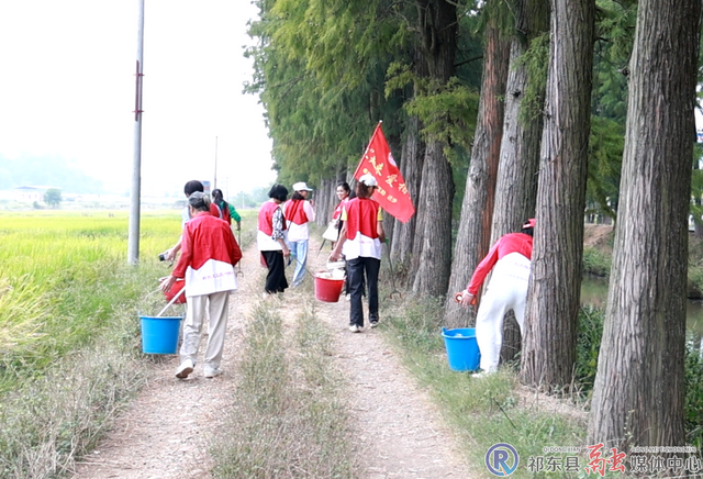 白地市：“志愿红”守护“生态绿”