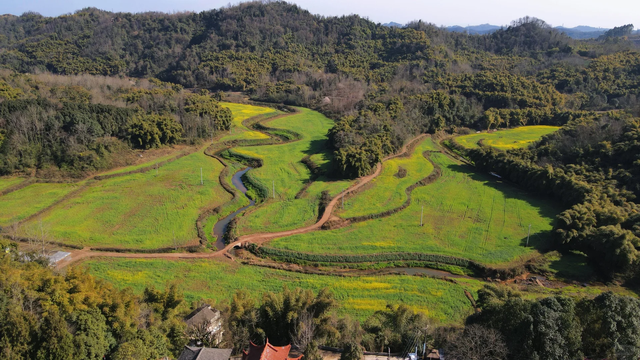 成都1h轻徒步天花板！徒步+奖牌+油菜花+斋饭全都有，亲子友好！