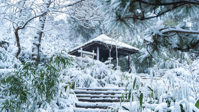 大雪至沂蒙，山水待君游