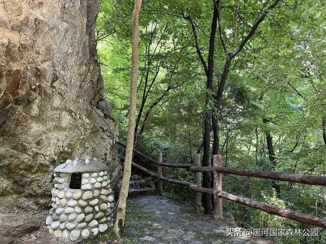 西安人的夏日消暑指南,黑河的清凉山水比空调更治愈→