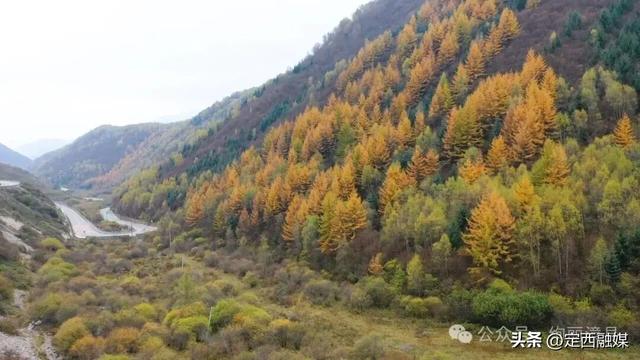 太美了！被甘J“拿捏”了