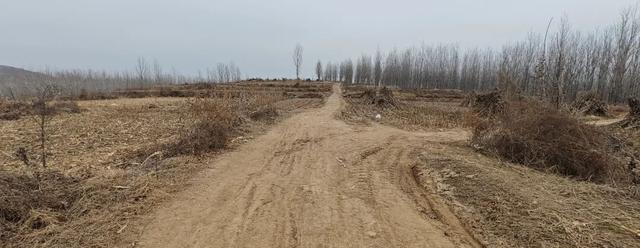 实锤	，海南岛离沂水城最近38km