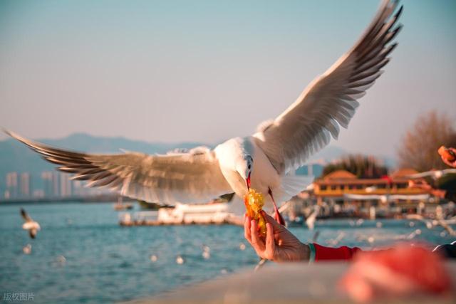 南京人去了昆明和贵阳，直言不讳：昆明和贵阳生活方式截然不同！