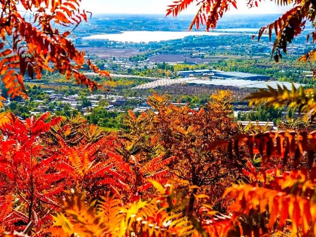 人少景美!丰台这些“秋季限定”进入倒计时!