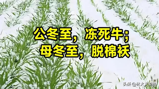 23点冬至,“公冬至,冻死牛;母冬至,脱棉袄”,今日冬至公还是母