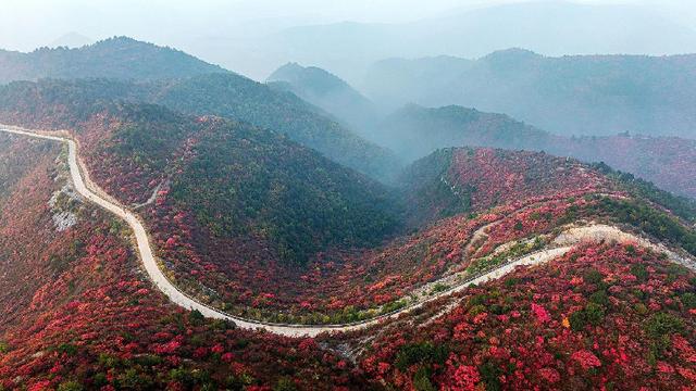 美到窒息！太行一号旅游公路铺开秋日油画长卷
