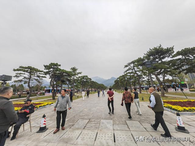 泰安：这个景点拆除了两排石灯笼，树少了，道新了，从压抑到敞亮