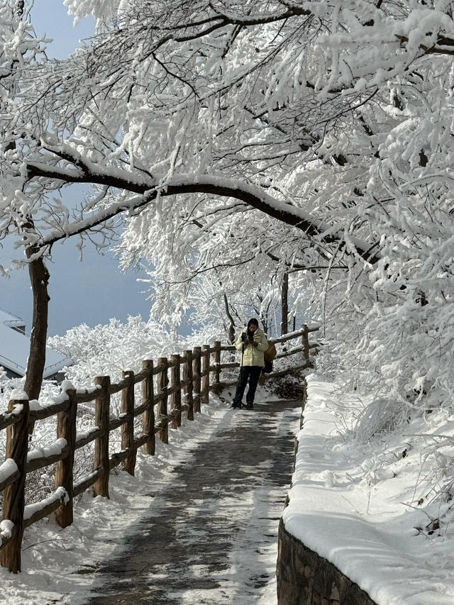 首遇云台山的雪凇美景