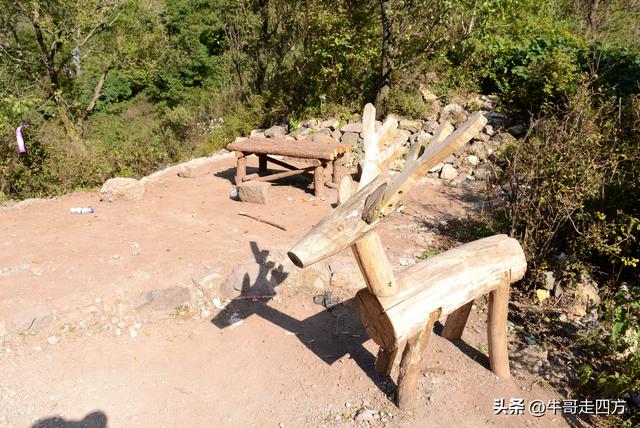 延庆应梦寺（五）：山巅极目收千嶂，林海听风涤尘心