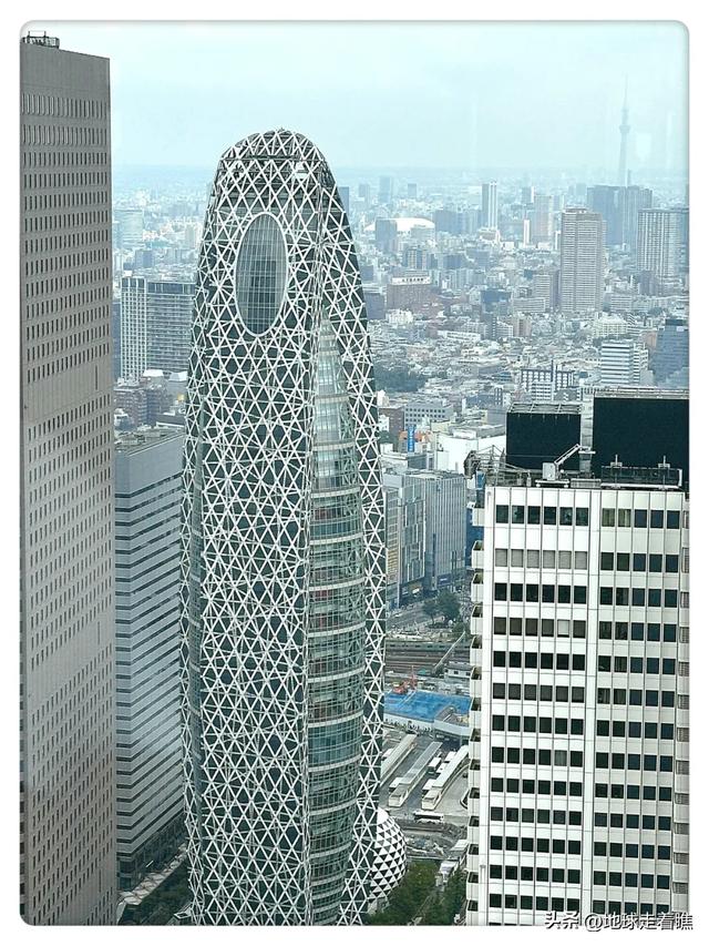 东京都厅：公务员食堂+免费观景台，这才是东京最“内行”玩法！
