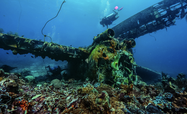正式官宣！菲律宾对华免签！最全攻略看这里