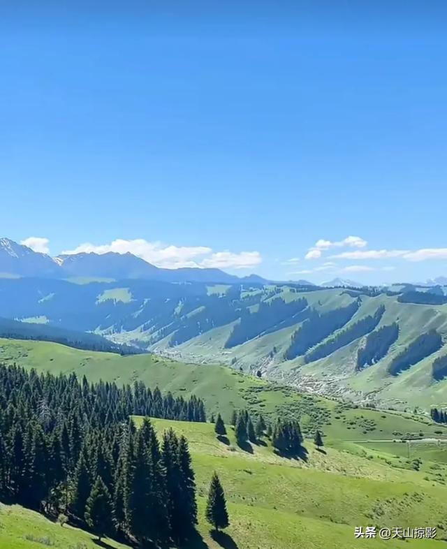 南山南