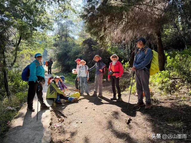 阳光明媚的冬日里,我们爬山去,逛陡坡村、看冬樱花,做晴朗的事