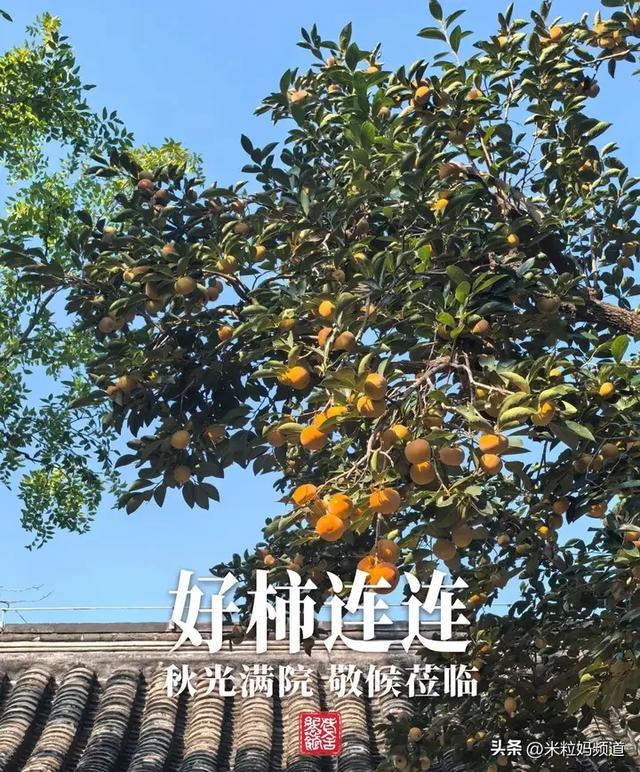 等了一年，帝都最好的时候终于到了！推荐几条赏秋路线