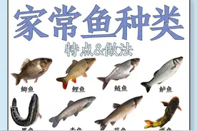 超市鱼类你还分不清吗？快来看图片