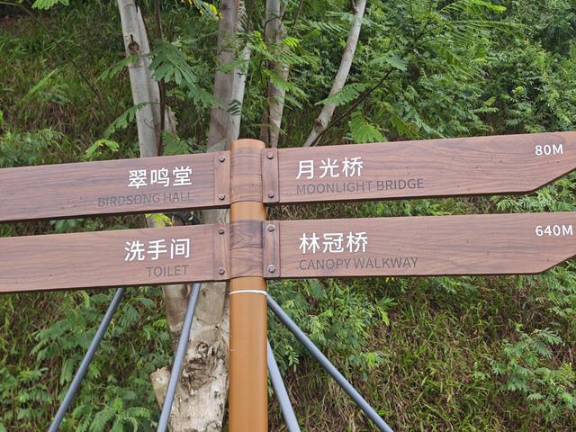 西丽湖国际科教城绿道高清随拍