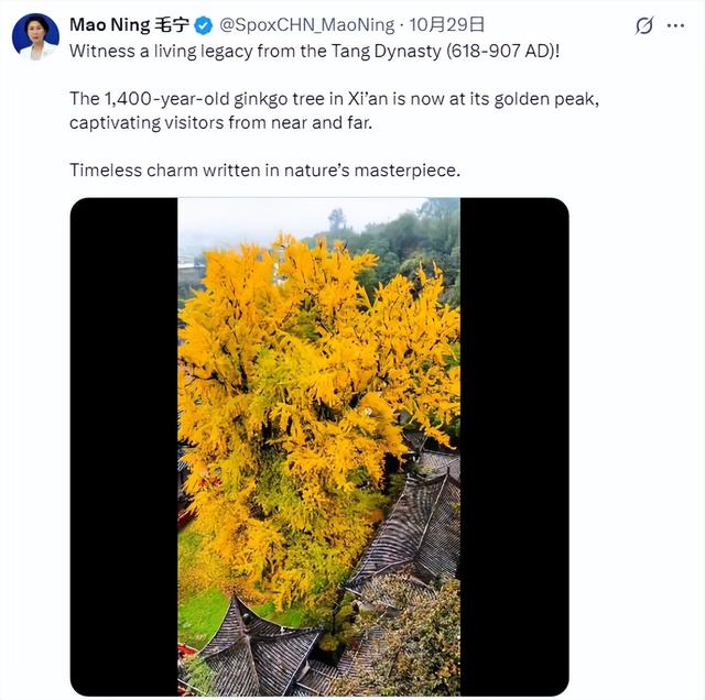 海外社交媒体上的“西安声音”（10.21-10.31）