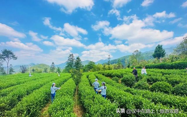 楮溪源景区：非遗茶歌、露营烧烤等你来！