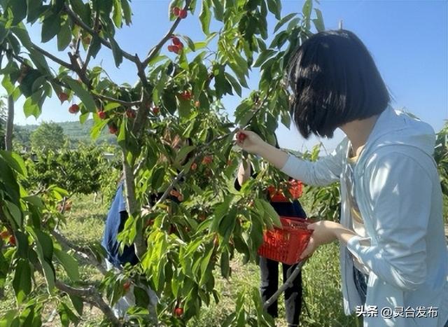 庆农业丰收 享美好生活丨魅力乡村中秋游——中台镇康家沟村