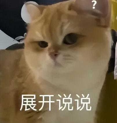 刚刚，百度健康推出7x24小时「能聊、有料、会管」AI管家