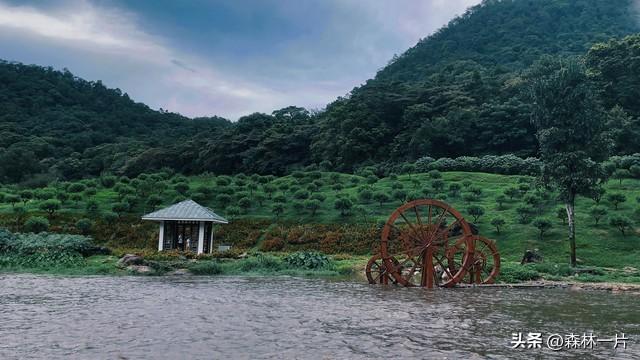 两性关系：女人多大岁数就不想男人了，过来人告诉你实情