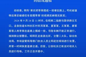 云南昭通官方通报“果农将苹果摆成一排堵路司机被逼停”：情况图片