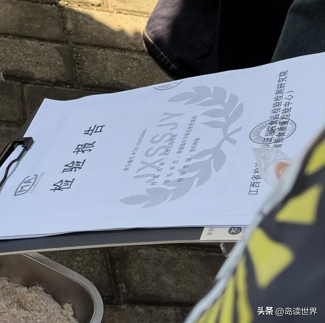 下午察：“鸡排哥”还能红多久？