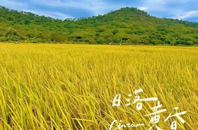 “香港赛马会”第六届中国（广州）从化户外休闲运动季即将开幕！