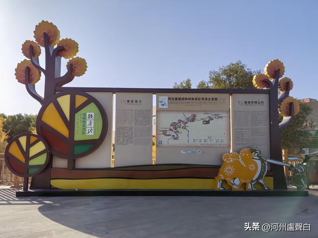 额济纳旗胡杨林