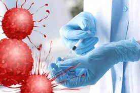 癌细胞末日到来？用猪细胞激活免疫系统，成功率高90%，原理是啥图片