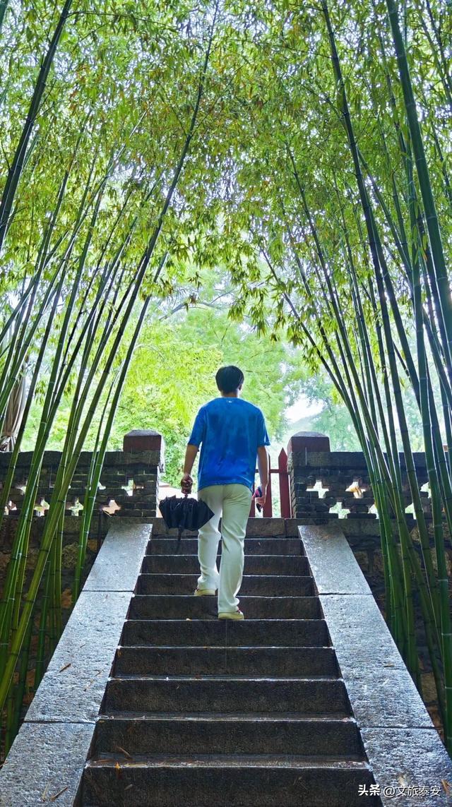 跟着节气游泰安 | 千年古寺雨后秒变“人间水墨”，小泰来避雨意外拍出了人生照片！