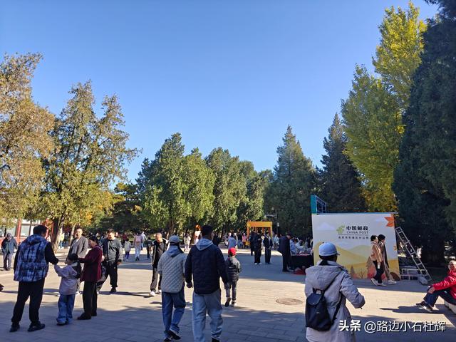 昔日皇家祭坛，今日大众踏秋——地坛秋日赏银杏